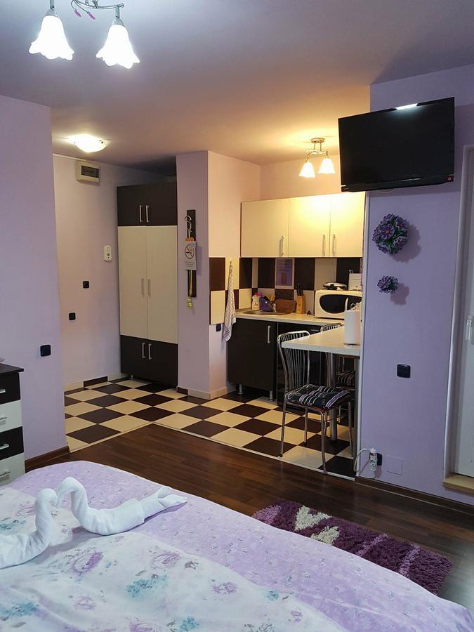 Garsoniera Cristina Apartment Baile Felix Luaran gambar