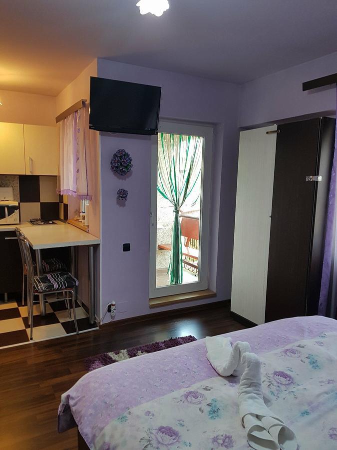 Garsoniera Cristina Apartment Baile Felix Luaran gambar