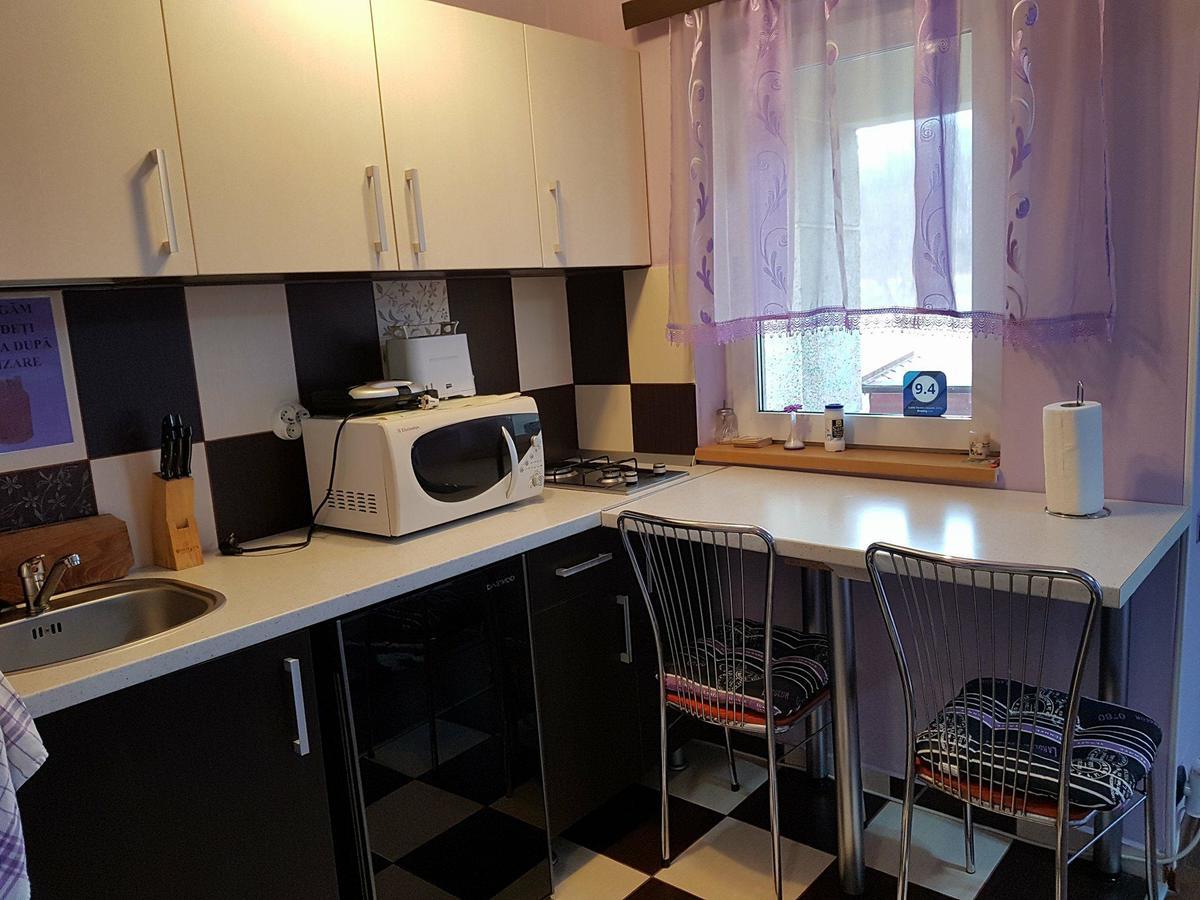Garsoniera Cristina Apartment Baile Felix Luaran gambar