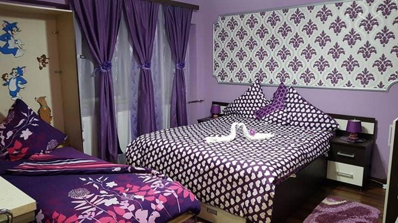 Garsoniera Cristina Apartment Baile Felix Luaran gambar
